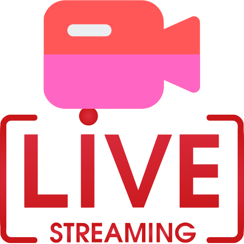 Videopantyhose